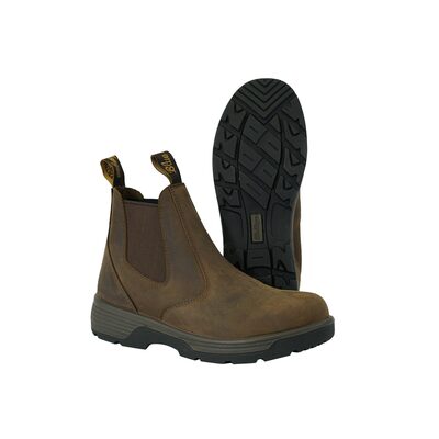 Blue Tongue Cigar Brown 6 in Slip On Boots 7 US