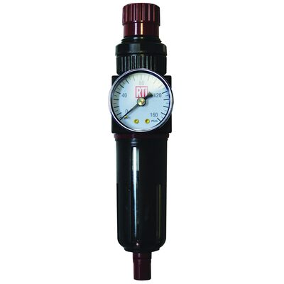 Reading Technologies  FR250-G Filter/Regulator, 1/4 in Inlet/Outlet, 30 scfm, 5 um, 120 deg F Maximum, 230 psig Maximum Supply