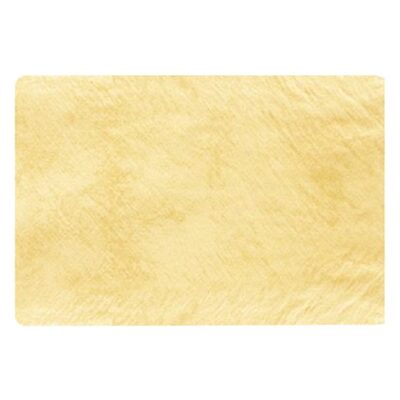 S.M. Arnold ELITE DRIER WSY4-3-T Drying Cloth, 4.15 sq-ft