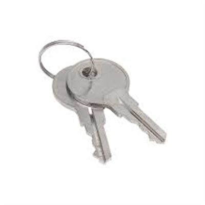 Sellstrom Keys for Monitor 2000 Germicidal Cabinet (set of 2) (S90494)