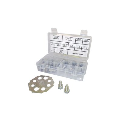 Thexton Universal Master Cylinder Plug Set