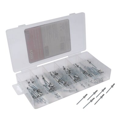 Titan 100 Piece 1/8 in x 3/8 in Aluminum/Steel Rivet Set