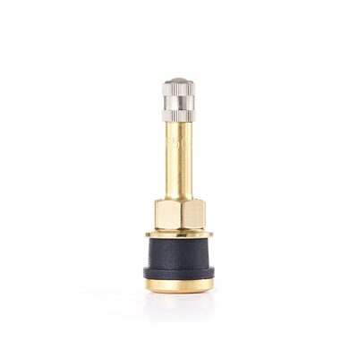 Tire Mechanic's Resource TR500 Brass Truck Valve (Pack of 50)