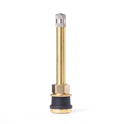 Tire Mechanic's Resource TR570 Brass Truck Valve (Pack of 50)