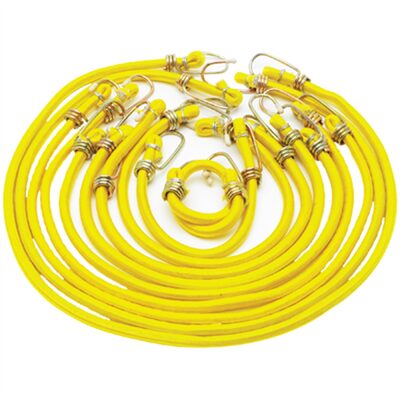 Wilmar Corp. / Performance Tool 10 Piece Bungee Cord Set